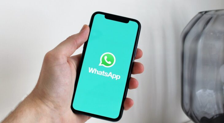 Transferă fișierele WhatsApp pe PC fără efort
