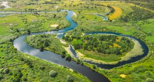 Delta lui Ivan: Traseu verde inaugurat de Muzeul Patzaichin
